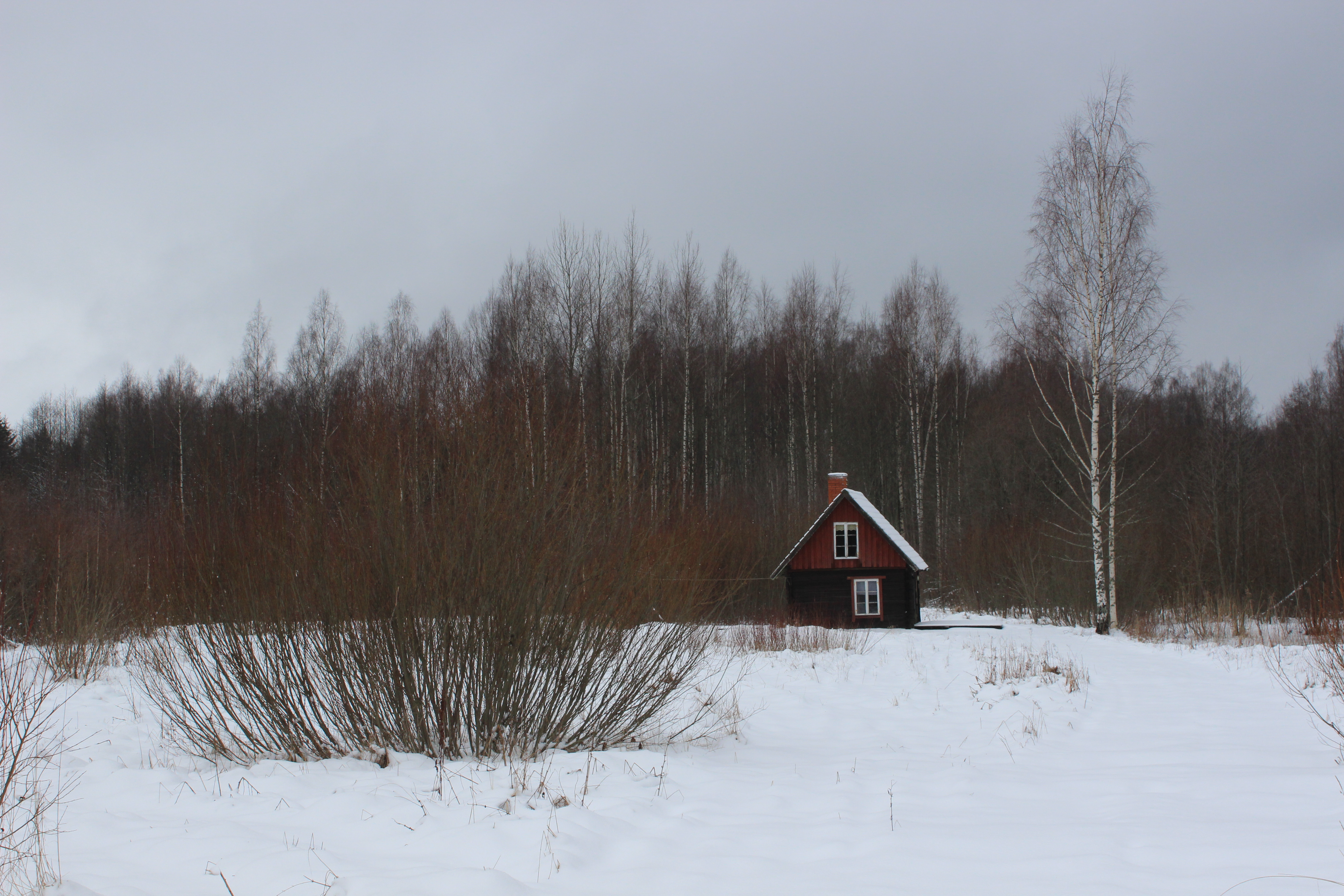 image alt text