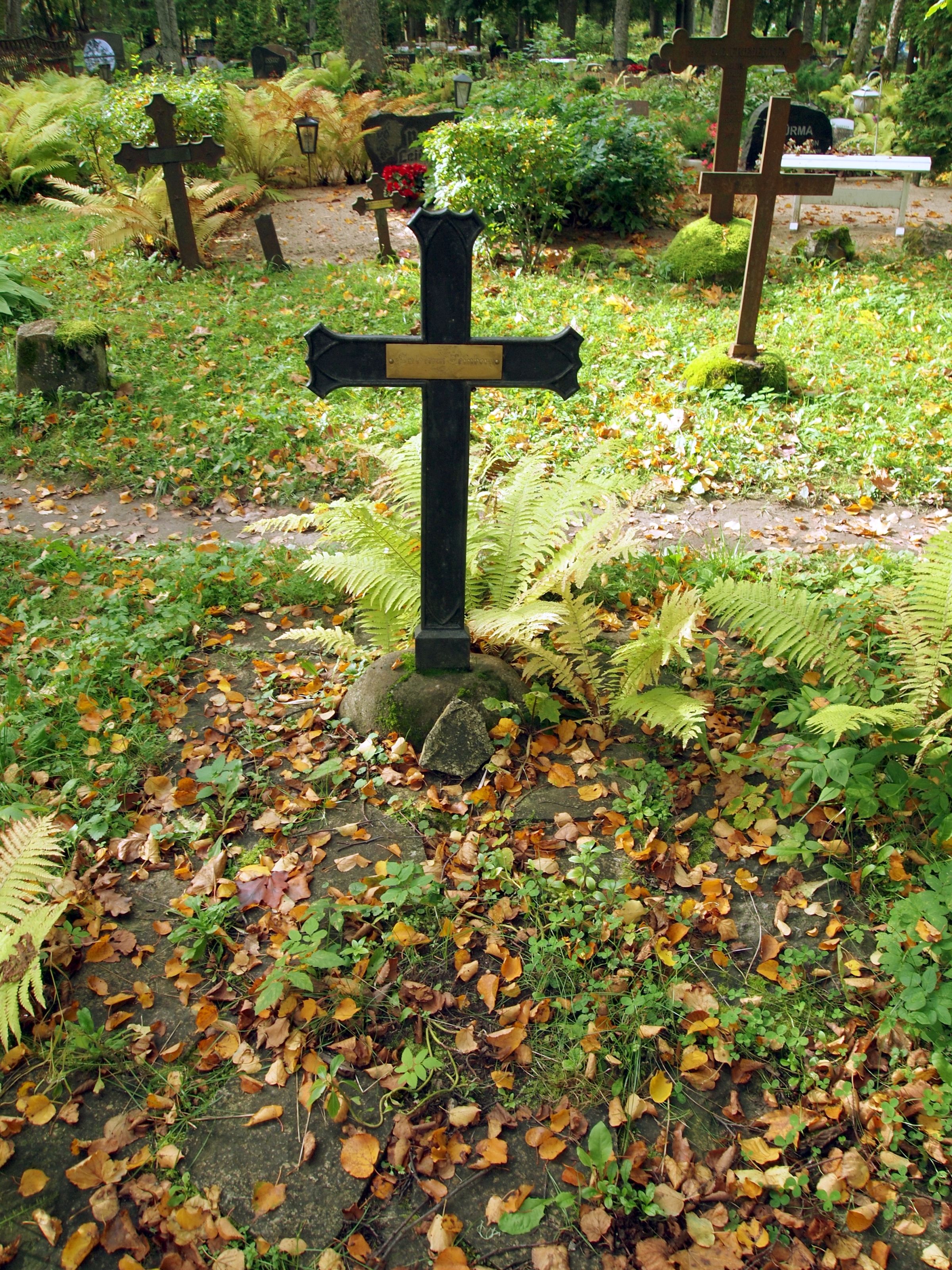 image alt text