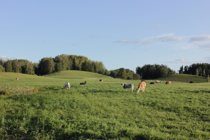 image alt text