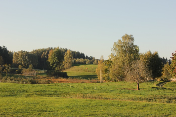 image alt text