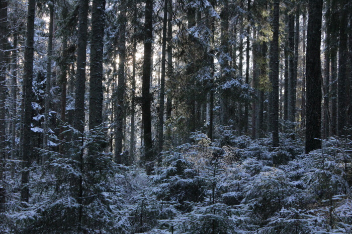 image alt text