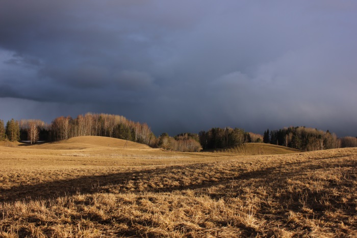 image alt text