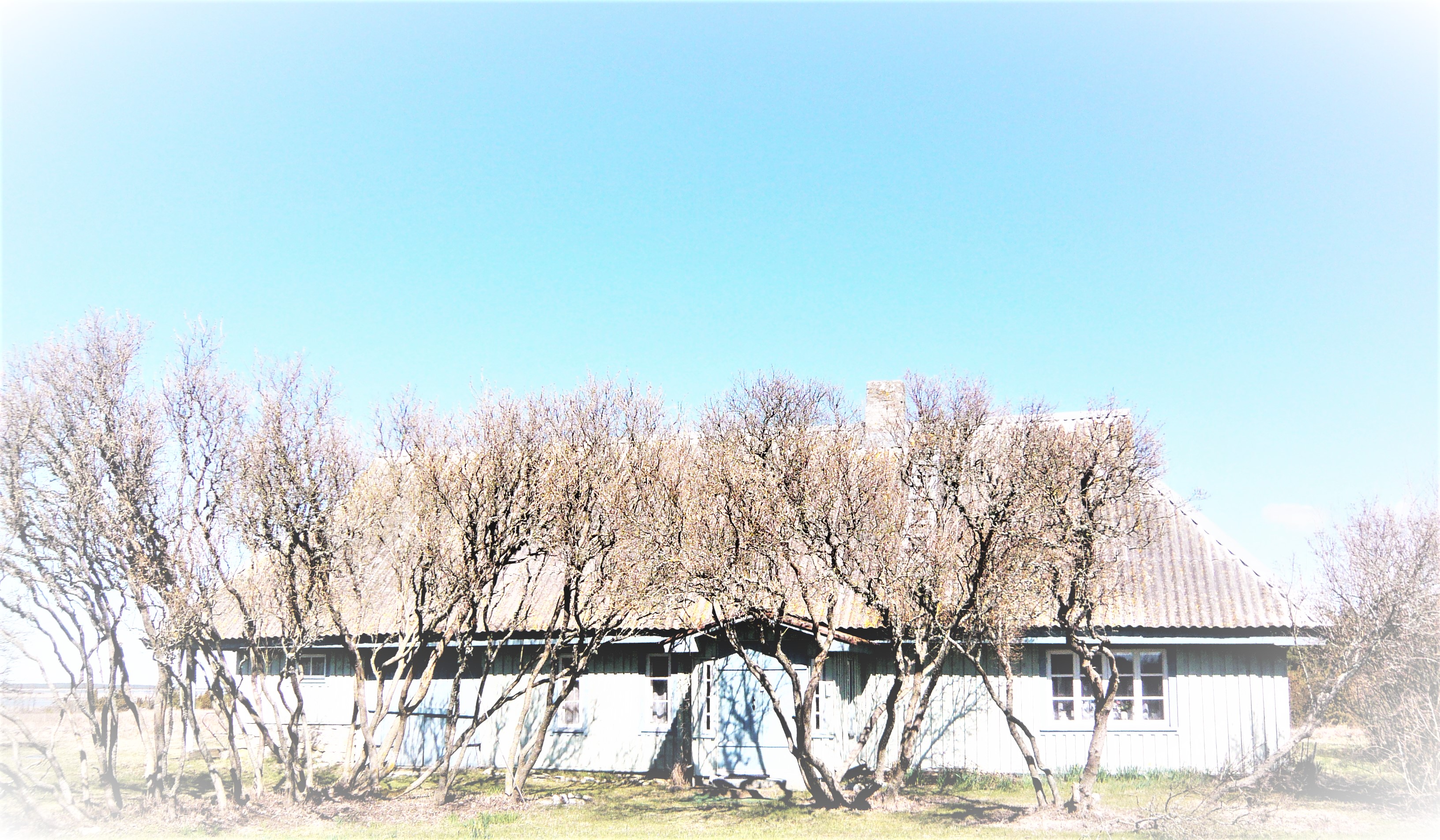 image alt text