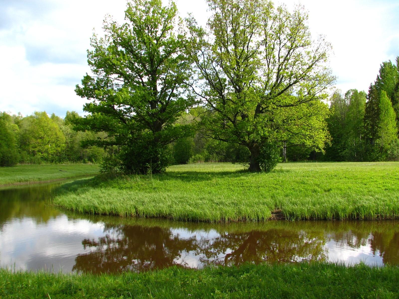 image alt text