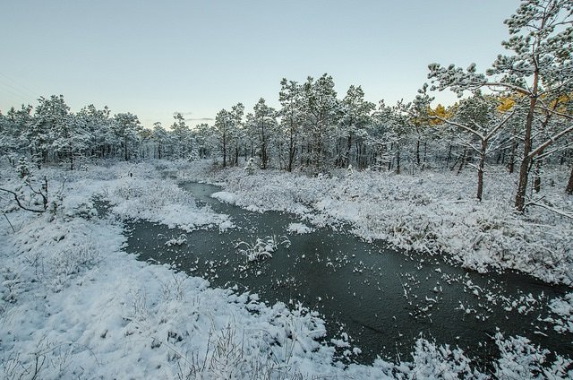 image alt text