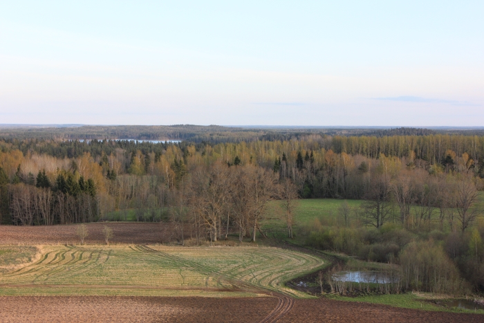 image alt text