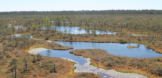 image alt text