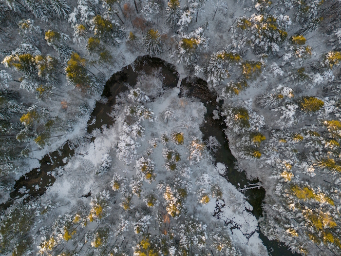 linnulennult vaade talvisele metsas asuvale allikale