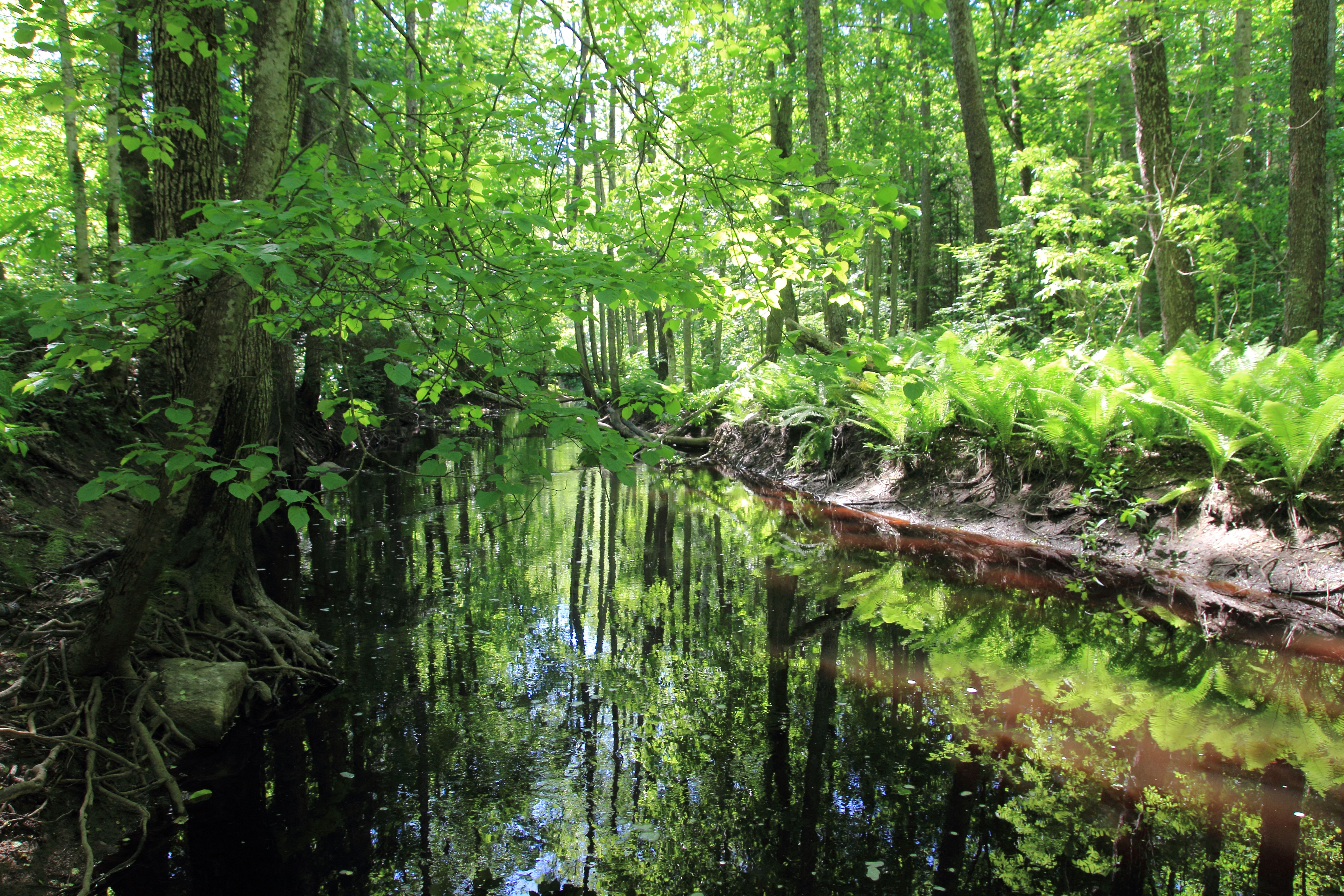 image alt text