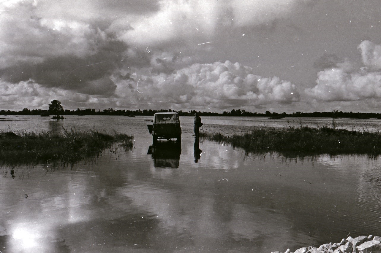 image alt text