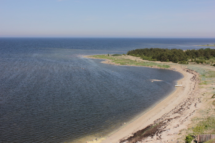 image alt text