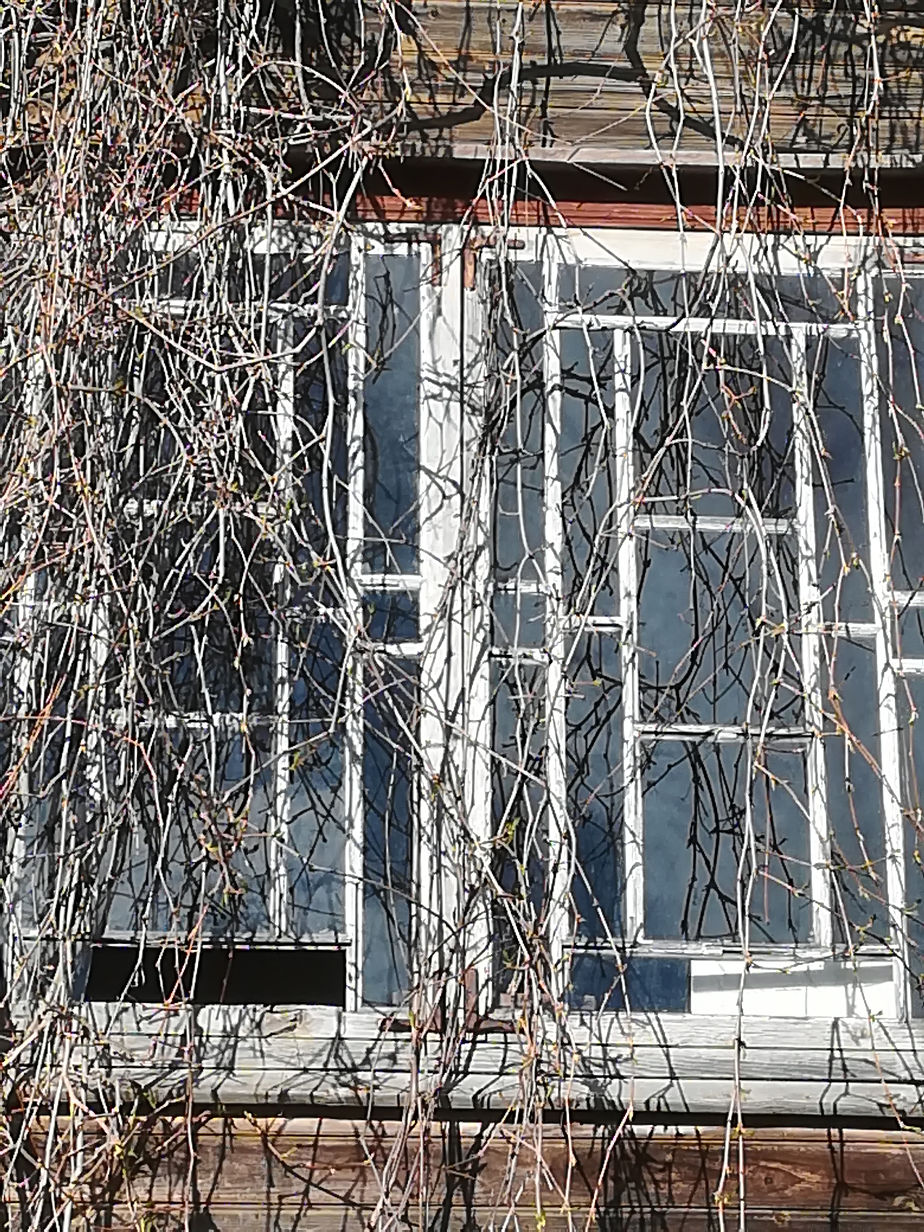image alt text