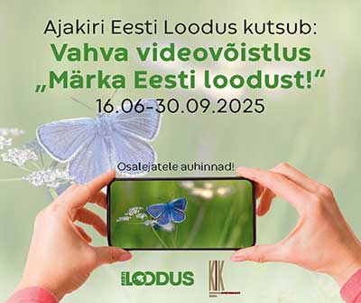 Plakat liblikaga
